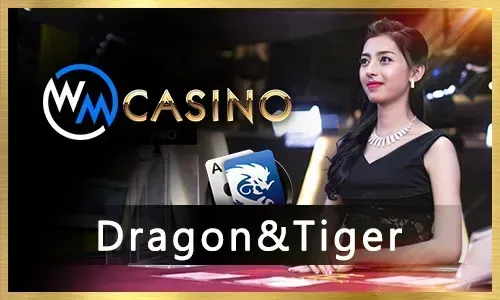 Live dealer game in progress
